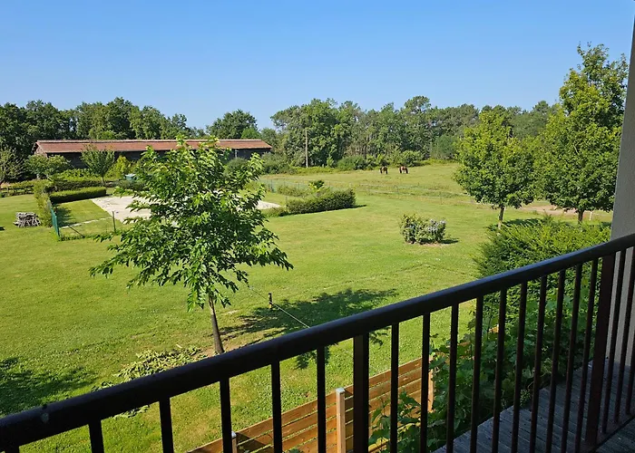 Appartement Du Noyer *